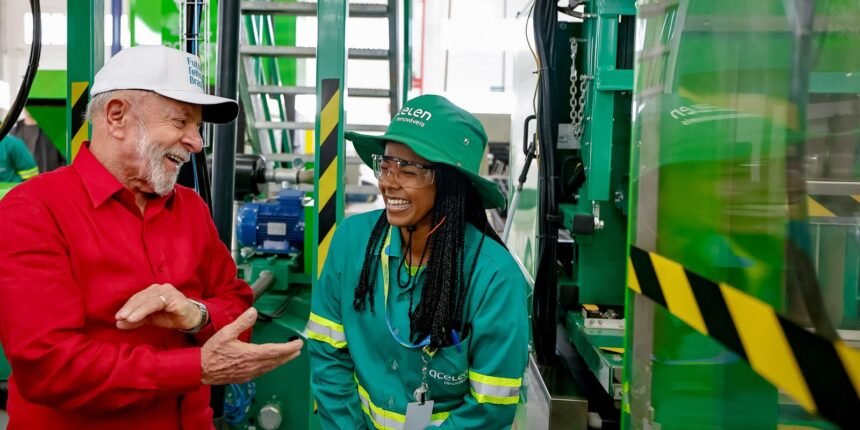 Biocombustível de Macaúba Promete Revolução para Agricultores Mineiros