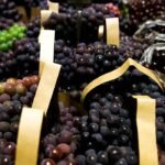 BNDES concede R$ 1,2 bilhão em financiamento para companhias impactadas pelas altas tarifas dos EUA