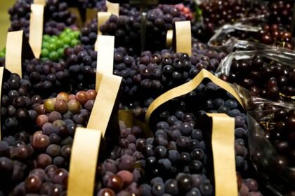 BNDES concede R$ 1,2 bilhão em financiamento para companhias impactadas pelas altas tarifas dos EUA