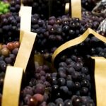 BNDES libera R$ 1,2 bilhão para companhias impactadas pelo aumento das tarifas