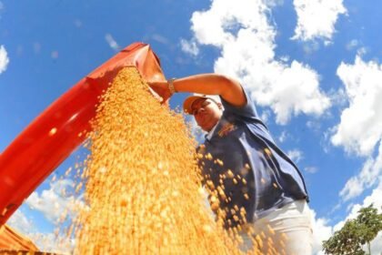 Brasil pode alcançar uma nova colheita recorde de grãos em 2025/26, aponta Conab