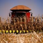 Conab prevê um recorde de 353,8 milhões de toneladas de grãos na colheita de 2025/26