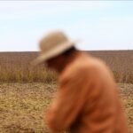 Em 72 horas, exportação de grãos rendeu US$ 7 bilhões à Argentina – mas gerou reclamações