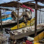 Gestão do seguro-defeso será transferida para o Ministério do Trabalho em outubro