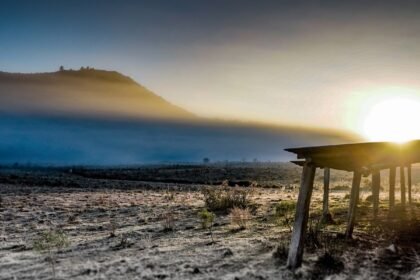 Governo libera R$ 12 bilhões em crédito para agricultores