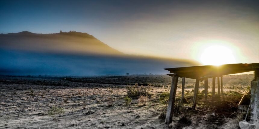 Governo libera R$ 12 bilhões em crédito para agricultores