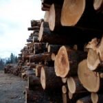 Grande aumento de tarifas causa desemprego e instabilidade no setor de madeira do Brasil