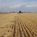 Inflação registrada pelo IGP-10 sobe 0,21% em setembro, abaixo das previsões