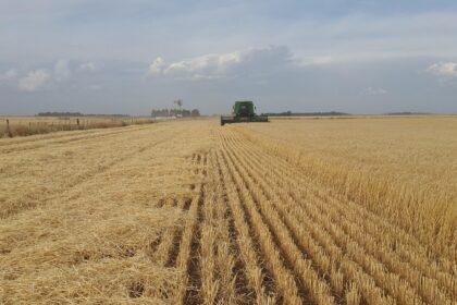 Inflação registrada pelo IGP-10 sobe 0,21% em setembro, abaixo das previsões