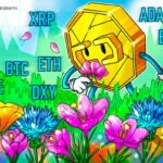 Liquidações de Bitcoin atingem recorde de 1 ano, Altcoins acompanham