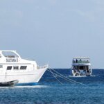 Mulher acusa tripulação de barco de ocultar corpo de seu pai para continuar a festa