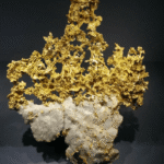 R$ 3,7 milhões em ouro furtados do Museu Nacional de História Natural da França