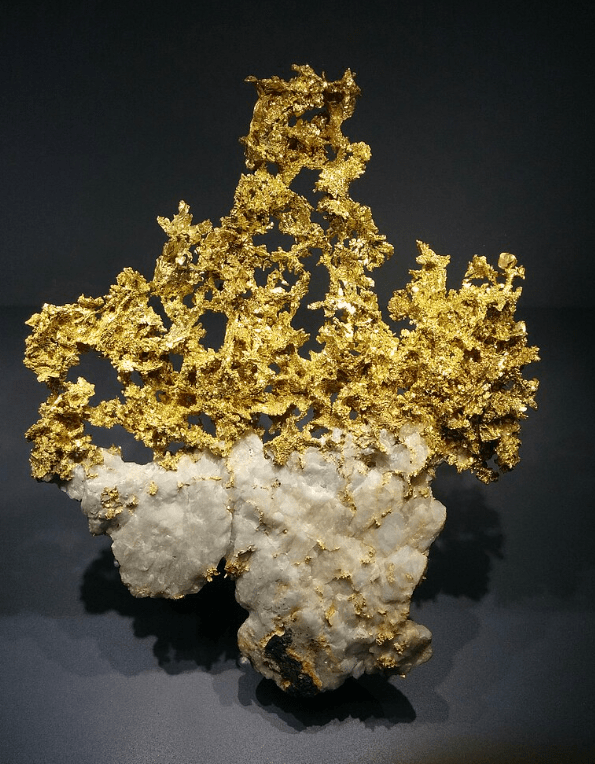 R$ 3,7 milhões em ouro furtados do Museu Nacional de História Natural da França