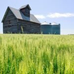 Republicanos avisam que agricultores dos EUA enfrentarão desastre sem apoio governamental