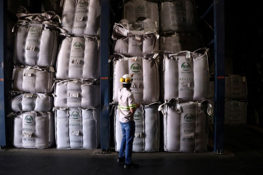 Valores do café em Nova York chegam perto de máxima histórica devido a tarifas e condições climáticas no Brasil