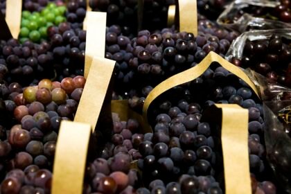 BNDES Libera R$ 1,2 Bilhão Para Empresas Impactadas Por Taxas Americanas