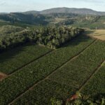 A produção no Brasil está prestes a entrar em colapso; saiba mais