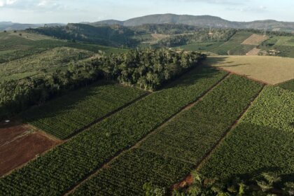 A produção no Brasil está prestes a entrar em colapso; saiba mais