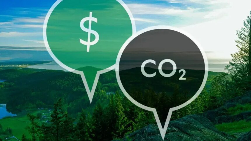 Advogado ambiental afirma que crédito de carbono é fundamental para viabilizar a descarbonização.