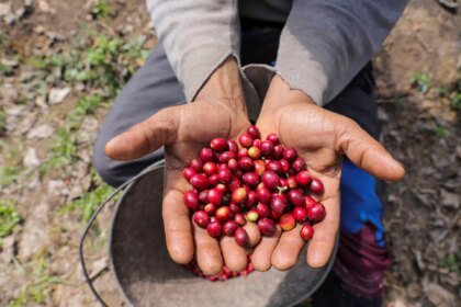 Com tarifa elevada, café brasileiro corre risco de perder espaço nos EUA