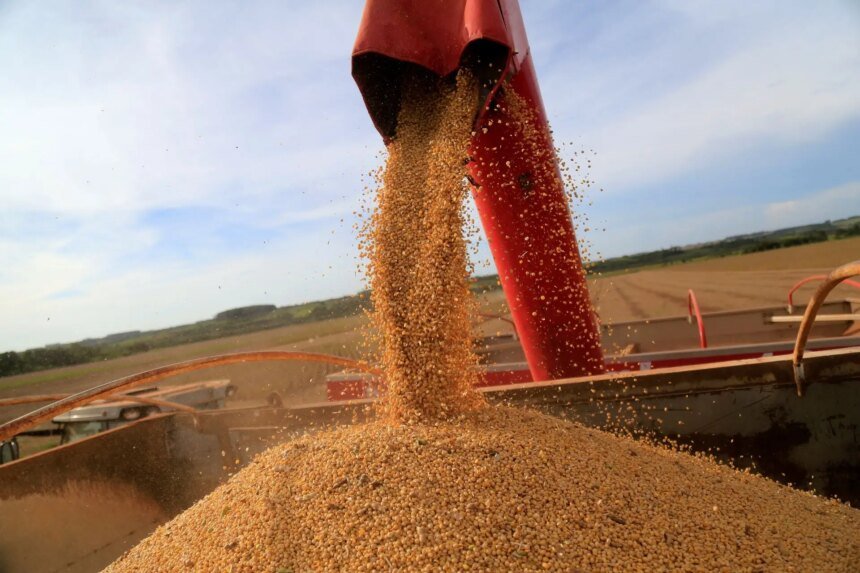 Conflito comercial entre Trump e China gera oportunidades, porém coloca em risco o ambiente no Brasil