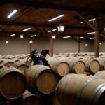 Exportações de vinhos chilenos para o Brasil aumentam enquanto demanda nos EUA diminui