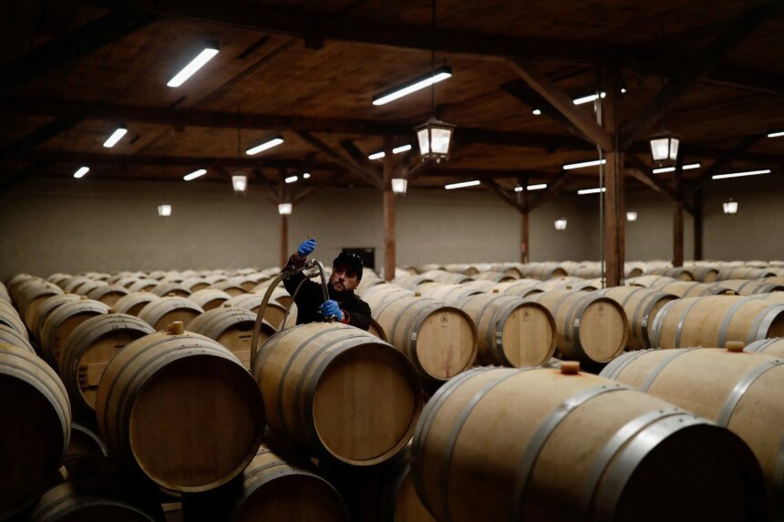 Exportações de vinhos chilenos para o Brasil aumentam enquanto demanda nos EUA diminui