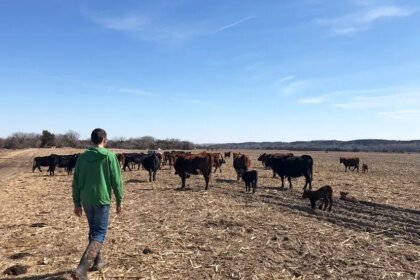 Produtores rurais dos EUA criticam plano de Trump para importar carne da Argentina