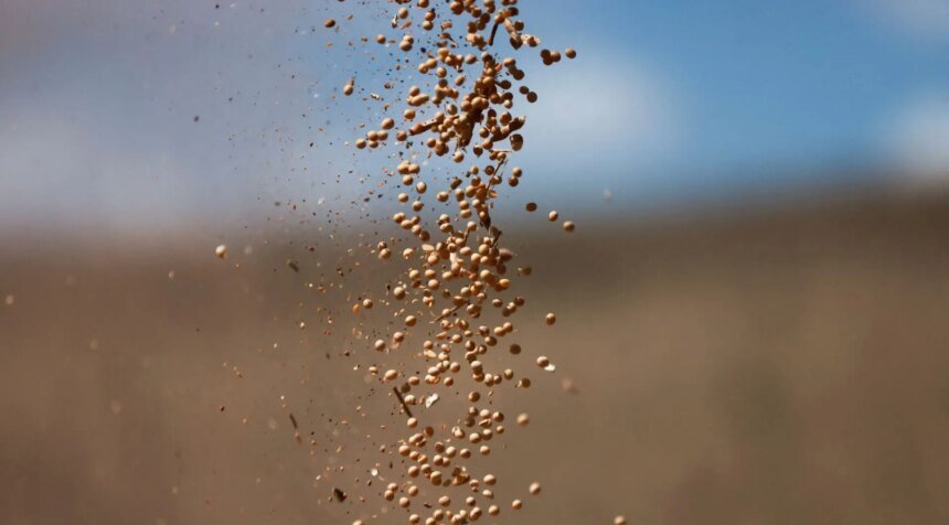 Soja alcança maior valor em 4 meses em Chicago graças à expectativa de acordo entre EUA e China