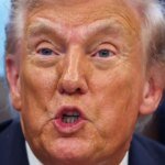 Trump diminui importância do esforço de anexação da Cisjordânia por parlamentares israelenses