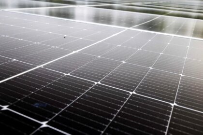 Trump removeu apoio à energia renovável, mas agora ela registra novos recordes