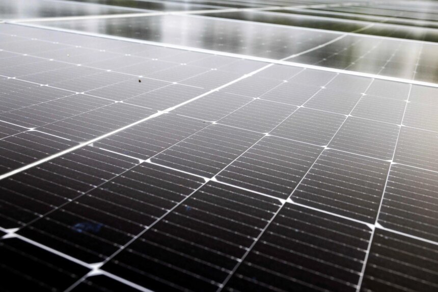 Trump removeu apoio à energia renovável, mas agora ela registra novos recordes