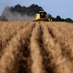 UE afrouxa regulamentação contra desmatamento e desaponta setor agropecuário brasileiro, afirma Rabobank