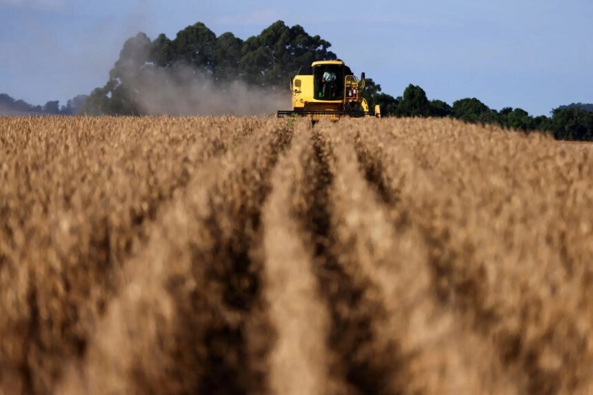 UE afrouxa regulamentação contra desmatamento e desaponta setor agropecuário brasileiro, afirma Rabobank
